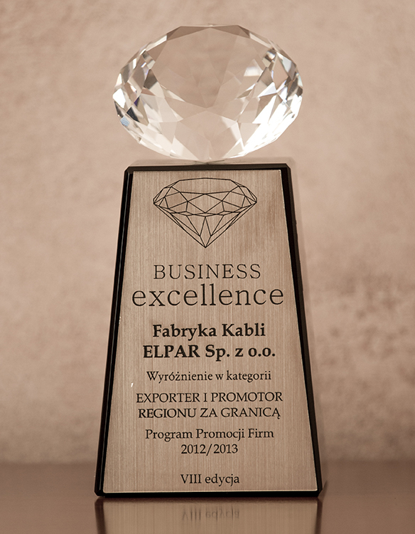 BUSINESS EXCELLENCE 2012/2013